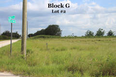 Block-G2