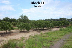 Block-H1-11