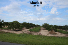 Block-H1-2