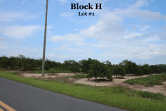 Block-H1-3