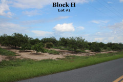 Block-H1-4