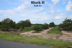 Block-H1-5