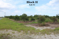 Block-H1-7