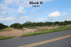 Block-H1