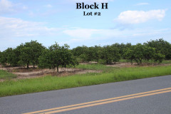 Block-H2-4
