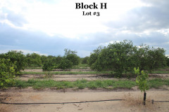 Block-H3-4