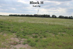Block-H4
