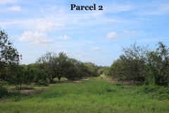 Parcel-2-4