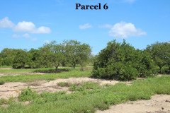 Parcel-6-2