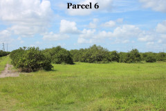 Parcel-6
