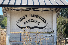 61-Ranch-Sign