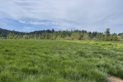 65-Pasture-Land-Looking-NW