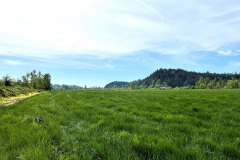 66-Pasture-Land-Looking-South